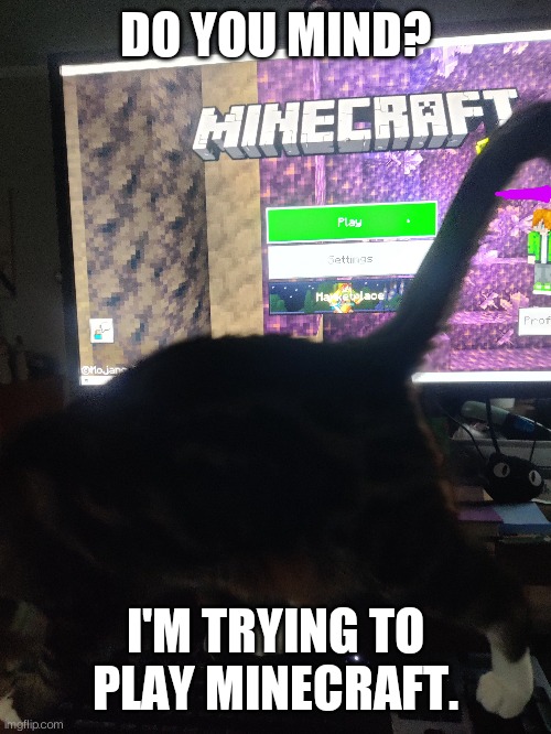 Minecraft But, I Am A Cat? 🐱#minecraft #MinecraftMeme