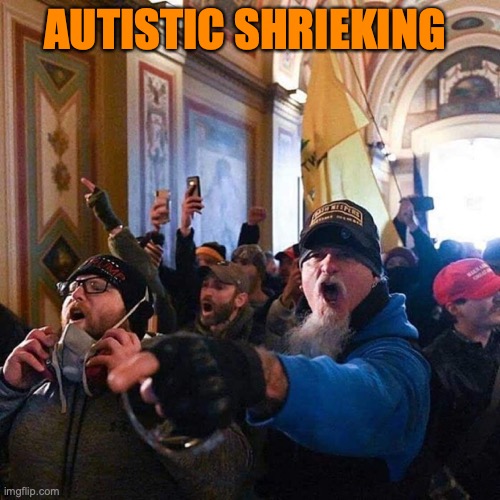 Capitol Traitors | AUTISTIC SHRIEKING | image tagged in capitol traitors | made w/ Imgflip meme maker