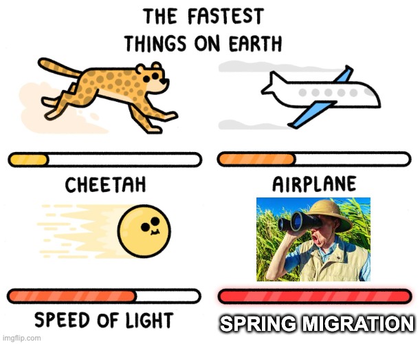 Fastest thing on earth | SPRING MIGRATION | image tagged in fastest thing on earth | made w/ Imgflip meme maker
