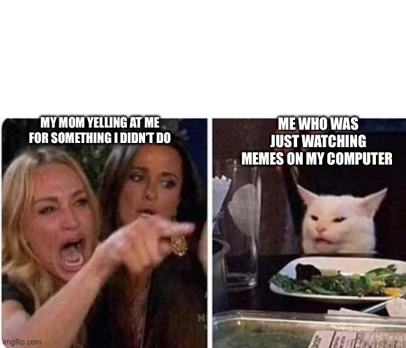 When you were just trying to watch memes | ME WHO WAS JUST WATCHING MEMES ON MY COMPUTER; MY MOM YELLING AT ME FOR SOMETHING I DIDN’T DO | image tagged in lady screams at cat | made w/ Imgflip meme maker