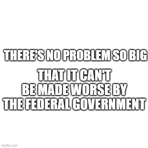 Federal Government | THERE'S NO PROBLEM SO BIG; THAT IT CAN'T BE MADE WORSE BY THE FEDERAL GOVERNMENT | image tagged in memes,government | made w/ Imgflip meme maker
