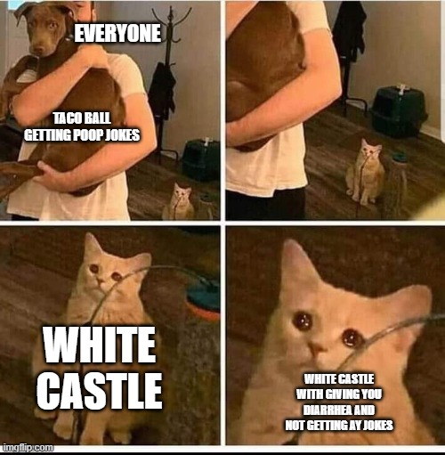 white castle | EVERYONE; TACO BALL GETTING POOP JOKES; WHITE CASTLE; WHITE CASTLE WITH GIVING YOU DIARRHEA AND NOT GETTING AY JOKES | image tagged in man holding dog but cat is sad | made w/ Imgflip meme maker