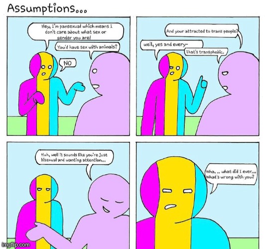 a s s u m p t i o n s Imgflip