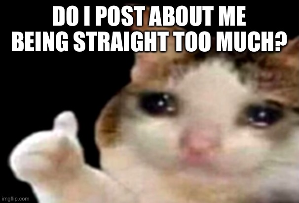 Tell me!!!! | DO I POST ABOUT ME BEING STRAIGHT TOO MUCH? | image tagged in sad cat thumbs up | made w/ Imgflip meme maker