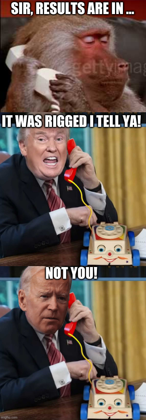 SIR, RESULTS ARE IN ... IT WAS RIGGED I TELL YA! NOT YOU! | image tagged in can i take a message,i'm the president,i'm the president biden edition | made w/ Imgflip meme maker