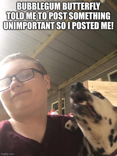 Doggo | BUBBLEGUM BUTTERFLY TOLD ME TO POST SOMETHING UNIMPORTANT SO I POSTED ME! | made w/ Imgflip meme maker