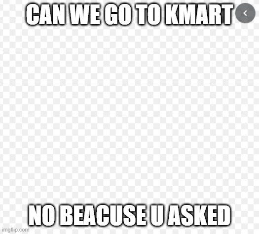 EDSD | CAN WE GO TO KMART; NO BEACUSE U ASKED | image tagged in edsd | made w/ Imgflip meme maker