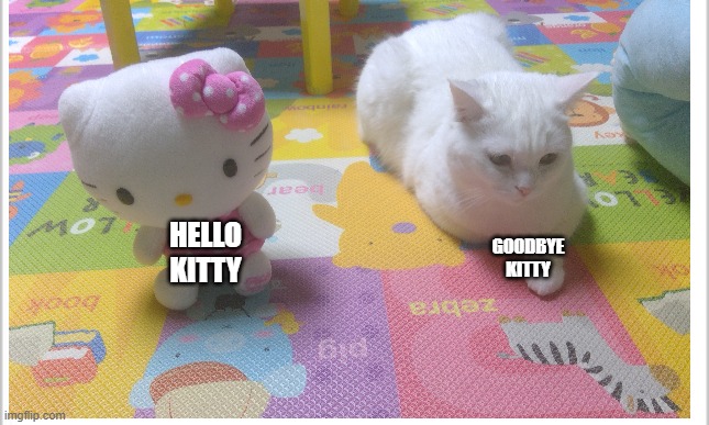 Welcome to the world of "wot"s |  GOODBYE KITTY; HELLO KITTY | image tagged in hello kitty,goodbye kitty,goodbye,cats,meow,wot | made w/ Imgflip meme maker