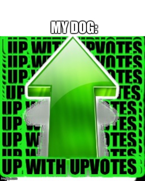 upvote | MY DOG: | image tagged in upvote | made w/ Imgflip meme maker
