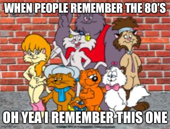 Heathcliff | WHEN PEOPLE REMEMBER THE 80’S; OH YEA I REMEMBER THIS ONE | image tagged in heathcliff | made w/ Imgflip meme maker