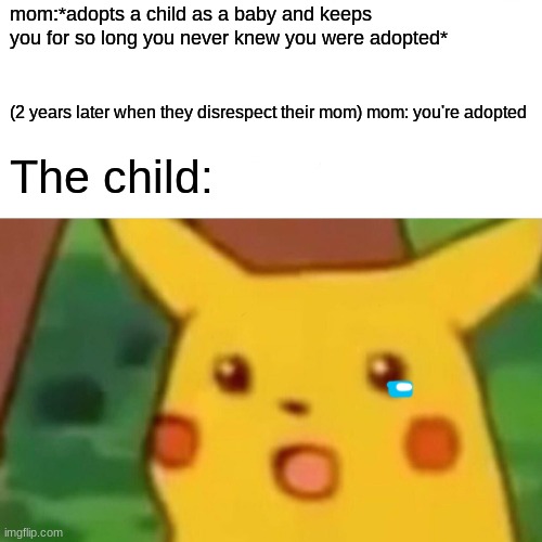 Surprised Pikachu Meme | mom:*adopts a child as a baby and keeps you for so long you never knew you were adopted*; (2 years later when they disrespect their mom) mom: you're adopted; The child: | image tagged in memes,surprised pikachu,adopted | made w/ Imgflip meme maker