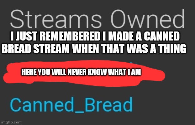 I JUST REMEMBERED I MADE A CANNED BREAD STREAM WHEN THAT WAS A THING; HEHE YOU WILL NEVER KNOW WHAT I AM | made w/ Imgflip meme maker