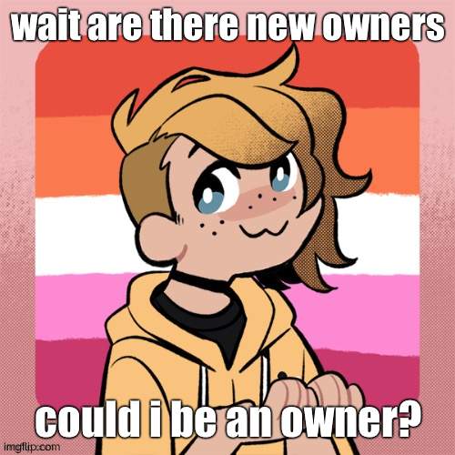 wait are there new owners; could i be an owner? | image tagged in hey look it s bean | made w/ Imgflip meme maker