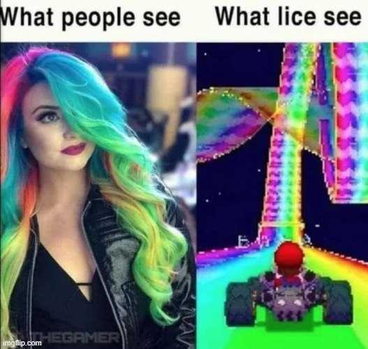 lice | made w/ Imgflip meme maker