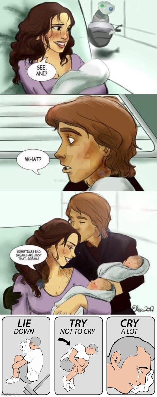 Those invisible ninjas are cutting onions again :’( | image tagged in try not to cry,star wars,anakin skywalker,padme,luke skywalker,princess leia | made w/ Imgflip meme maker