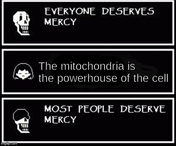 Papyrus most people deserve mercy | The mitochondria is the powerhouse of the cell | image tagged in papyrus most people deserve mercy | made w/ Imgflip meme maker