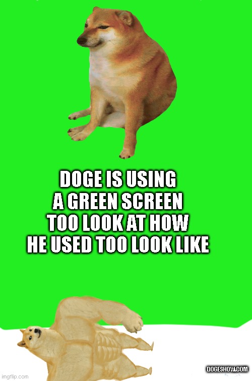 dogeshow.com put in what you want too talk about on the show and meet doge live with his friends | DOGE IS USING A GREEN SCREEN TOO LOOK AT HOW HE USED TOO LOOK LIKE; DOGESHOW.COM | image tagged in finally you can make your own meme easy | made w/ Imgflip meme maker