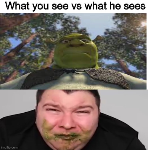 Nikacado down bad | What you see vs what he sees | image tagged in blank white template | made w/ Imgflip meme maker