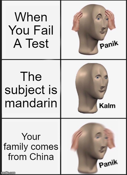 When your family comes from china but you dont know how to speak mandarin | When You Fail A Test; The subject is mandarin; Your family comes from China | image tagged in memes,panik kalm panik,views | made w/ Imgflip meme maker