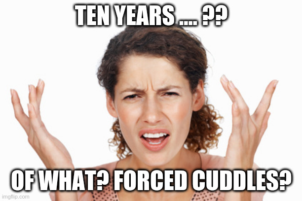 When someone goes to jail for stupid shit | TEN YEARS .... ?? OF WHAT? FORCED CUDDLES? | image tagged in indignant | made w/ Imgflip meme maker