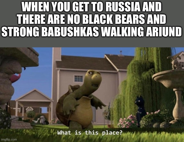 Russia | WHEN YOU GET TO RUSSIA AND THERE ARE NO BLACK BEARS AND STRONG BABUSHKAS WALKING AROUND | image tagged in what is this place | made w/ Imgflip meme maker