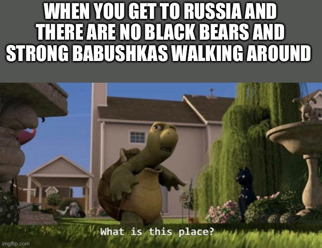 What is this place | WHEN YOU GET TO RUSSIA AND THERE ARE NO BLACK BEARS AND STRONG BABUSHKAS WALKING AROUND | image tagged in what is this place | made w/ Imgflip meme maker