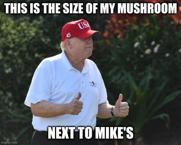 BS Rumpt | THIS IS THE SIZE OF MY MUSHROOM; NEXT TO MIKE'S | image tagged in bs rumpt | made w/ Imgflip meme maker