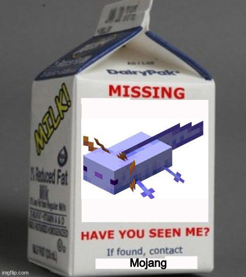 Minecraft Memes | Mojang | image tagged in milk carton,memes,funny memes,minecraft | made w/ Imgflip meme maker