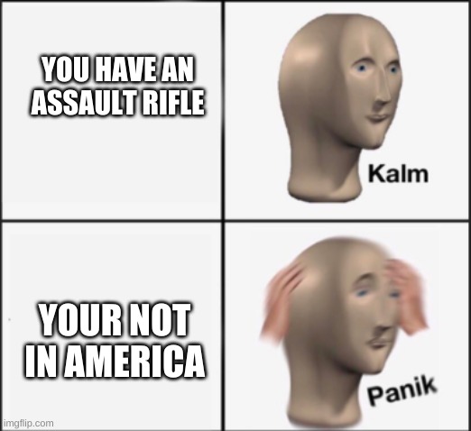 america has a lot of guns | YOU HAVE AN ASSAULT RIFLE; YOUR NOT IN AMERICA | image tagged in kalm panik | made w/ Imgflip meme maker
