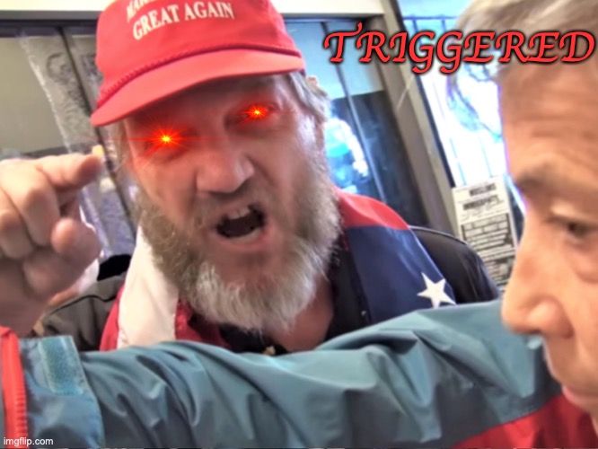 Angry Trump Supporter | TRIGGERED | image tagged in angry trump supporter | made w/ Imgflip meme maker