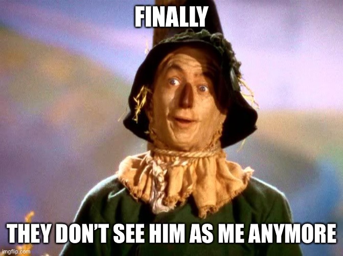 Wizard of Oz Scarecrow | FINALLY THEY DON’T SEE HIM AS ME ANYMORE | image tagged in wizard of oz scarecrow | made w/ Imgflip meme maker