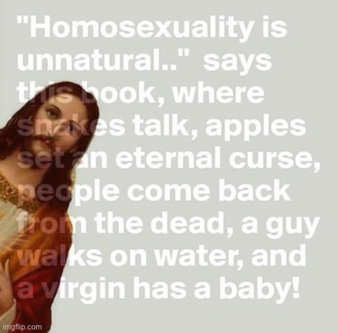 Things that make you go hmmm | image tagged in homosexuality,bible,the bible,things that,make you,go hmmm | made w/ Imgflip meme maker