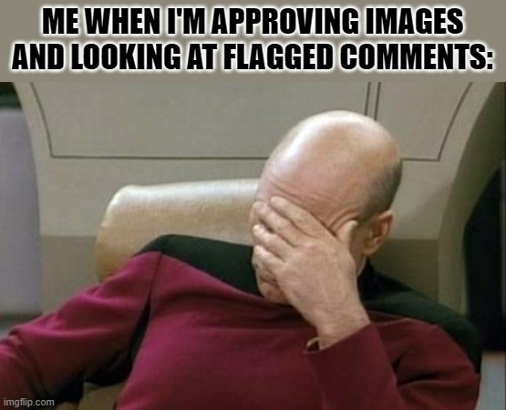 just some of 'em are stupid | ME WHEN I'M APPROVING IMAGES AND LOOKING AT FLAGGED COMMENTS: | image tagged in memes,captain picard facepalm | made w/ Imgflip meme maker