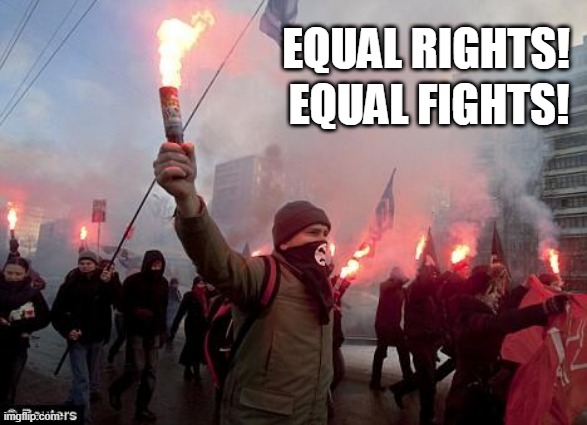 protest | EQUAL RIGHTS! EQUAL FIGHTS! | image tagged in protest | made w/ Imgflip meme maker