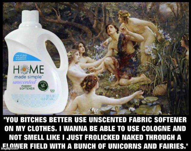 image tagged in laundry,wash,fabric softener,fairies,unscented,unicorns | made w/ Imgflip meme maker