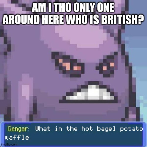 What in the hot bagel potato waffle | AM I THO ONLY ONE AROUND HERE WHO IS BRITISH? | image tagged in what in the hot bagel potato waffle | made w/ Imgflip meme maker
