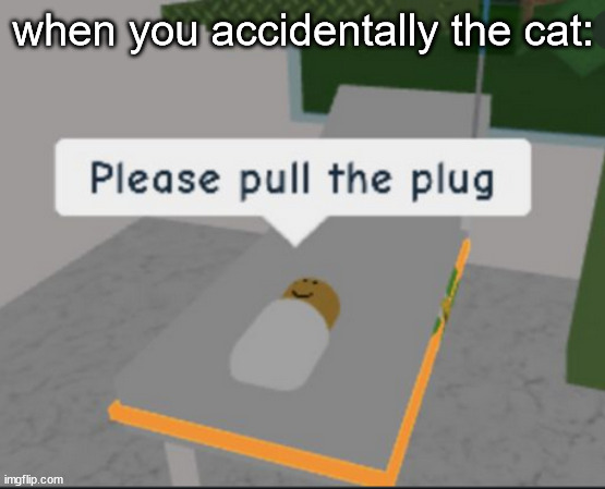 Please pull the plug (how to use) |  when you accidentally the cat: | image tagged in please pull the plug,meme tutorials,roblos,prezmemez | made w/ Imgflip meme maker