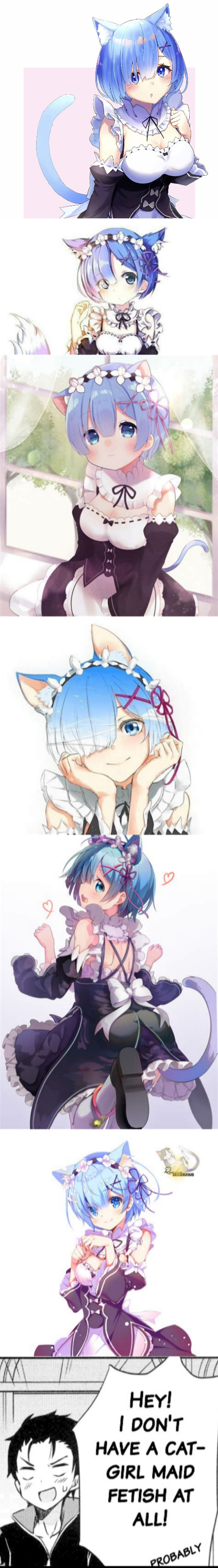 read to the bottom | image tagged in cat girl maid fetish,rezero,anime meme | made w/ Imgflip meme maker