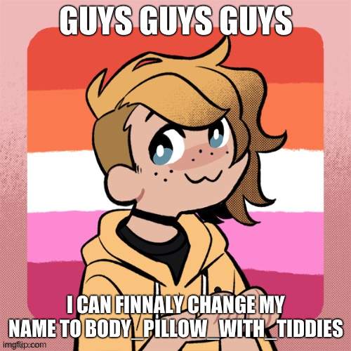 lmao | GUYS GUYS GUYS; I CAN FINNALY CHANGE MY NAME TO BODY_PILLOW_WITH_TIDDIES | image tagged in hey look it s bean | made w/ Imgflip meme maker