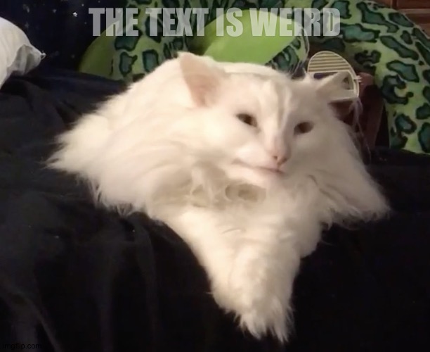 Thurston Waffles | THE TEXT IS WEIRD | image tagged in thurston waffles | made w/ Imgflip meme maker