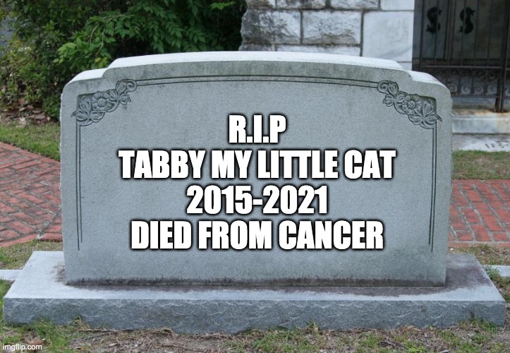 R.I.P Tabby | R.I.P
TABBY MY LITTLE CAT
2015-2021
DIED FROM CANCER | image tagged in gravestone,sad,cat | made w/ Imgflip meme maker