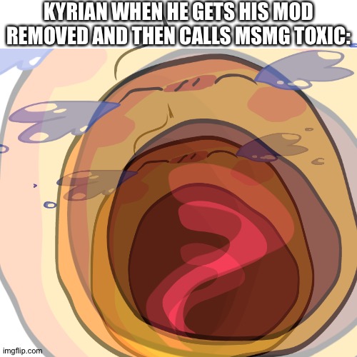 cry | KYRIAN WHEN HE GETS HIS MOD REMOVED AND THEN CALLS MSMG TOXIC: | made w/ Imgflip meme maker