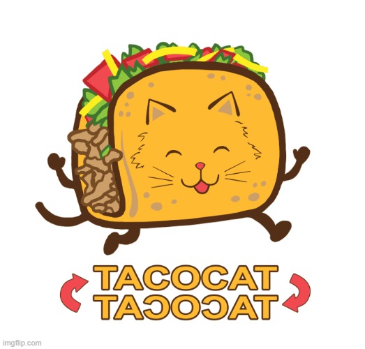 ◄► Reaction: TAƆOƆAT | image tagged in taco cat,comment,reaction | made w/ Imgflip meme maker