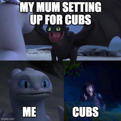 If you did not know cubs is the same as scouts | MY MUM SETTING UP FOR CUBS; ME                 CUBS | image tagged in toothless presents himself | made w/ Imgflip meme maker