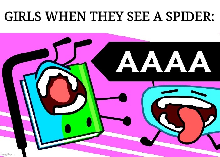 the truth | GIRLS WHEN THEY SEE A SPIDER: | image tagged in blank white template,aaaa bfb | made w/ Imgflip meme maker