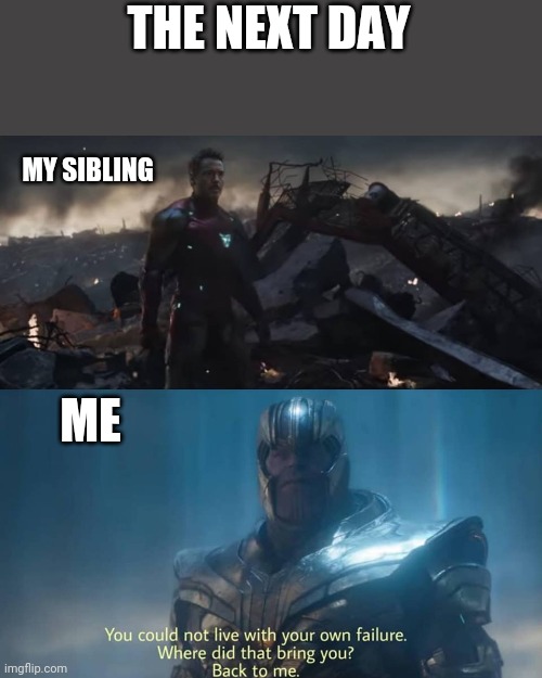 Thanos you could not live with your own failure | THE NEXT DAY ME MY SIBLING | image tagged in thanos you could not live with your own failure | made w/ Imgflip meme maker