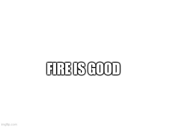 Blank White Template | FIRE IS GOOD | image tagged in blank white template | made w/ Imgflip meme maker