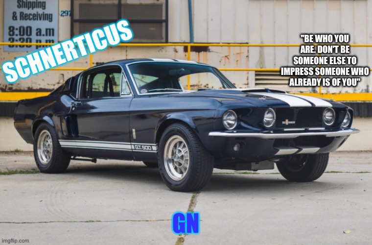 schnerticus temp | GN | image tagged in schnerticus temp | made w/ Imgflip meme maker