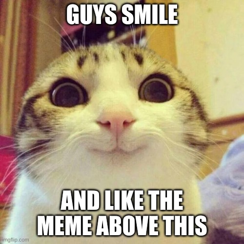 Smile | GUYS SMILE; AND LIKE THE MEME ABOVE THIS | image tagged in memes,smiling cat | made w/ Imgflip meme maker