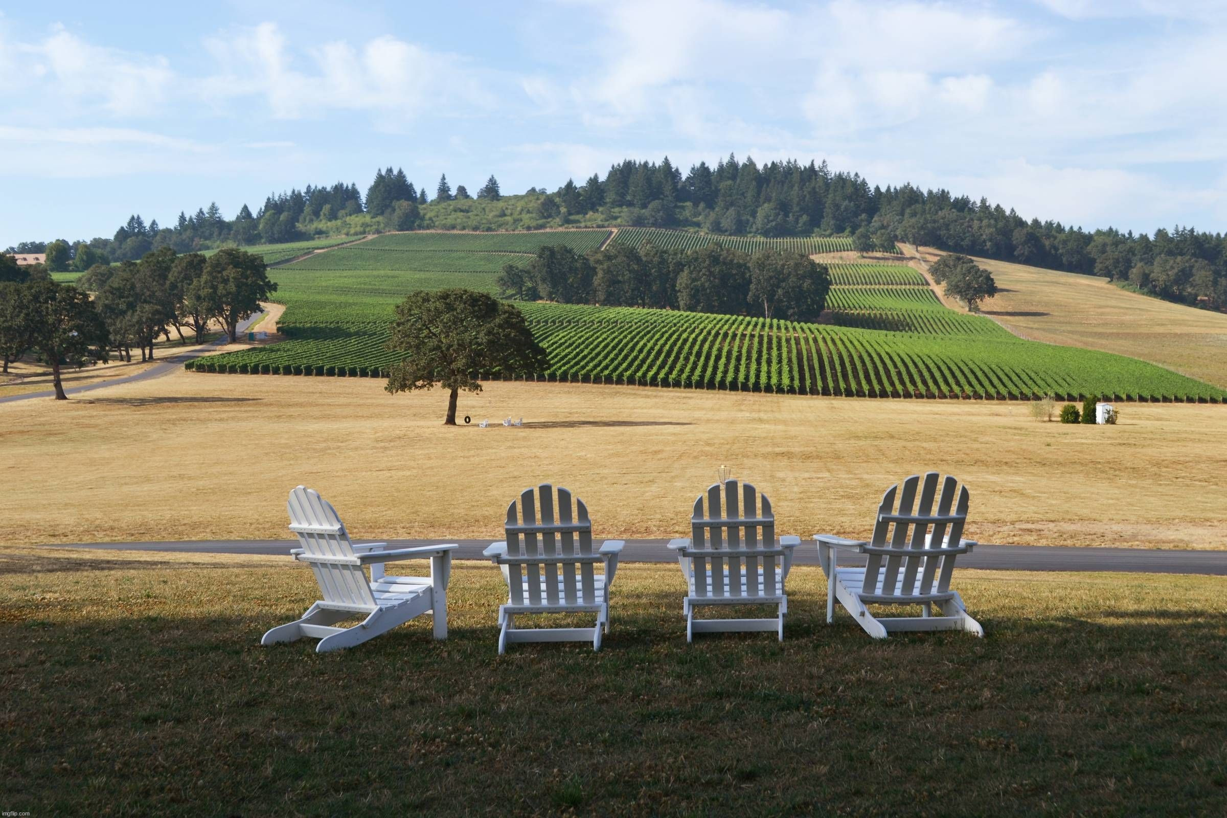 image tagged in awesome | made w/ Imgflip meme maker